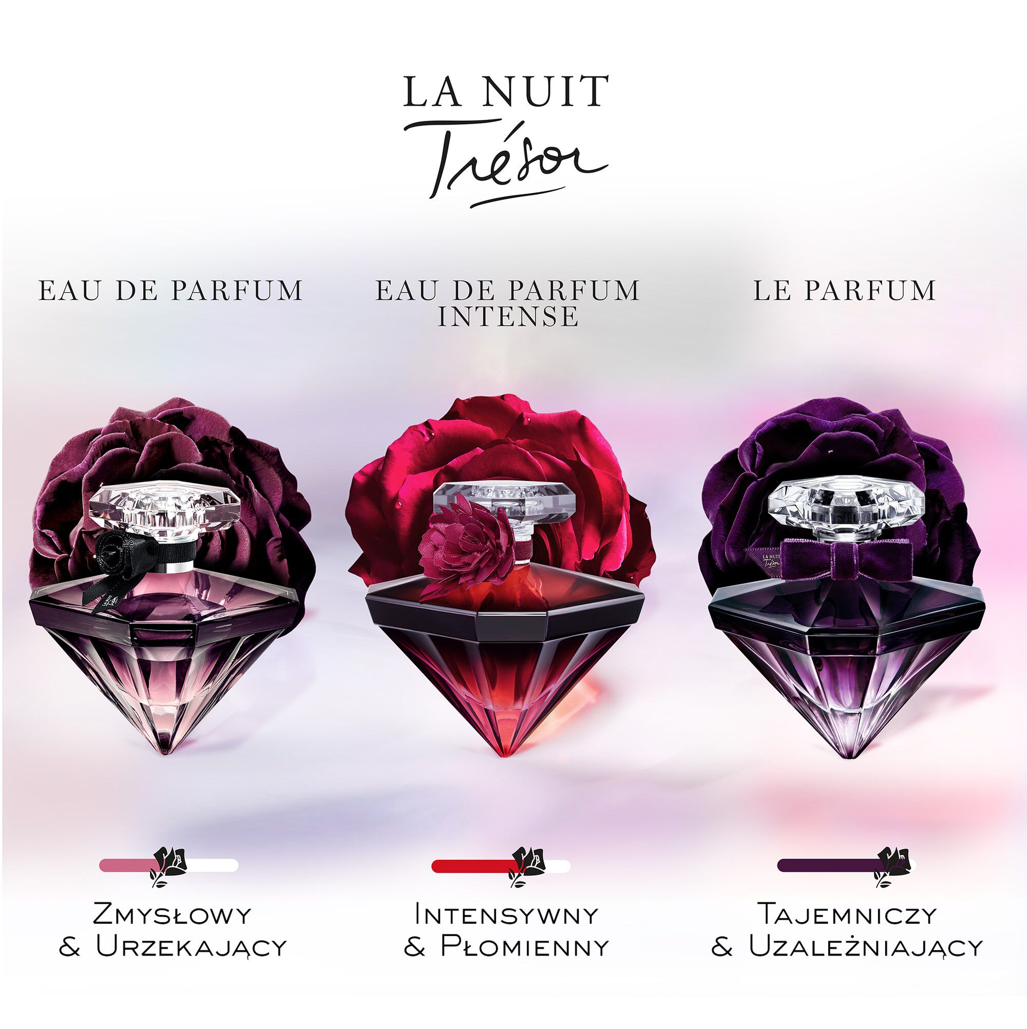 LA NUIT TRESOR - LE PARFUM