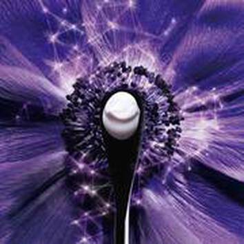 Szczoteczka do zębow na tle fioletowego kwiatu z opalizującymi detalami i blaskiem.