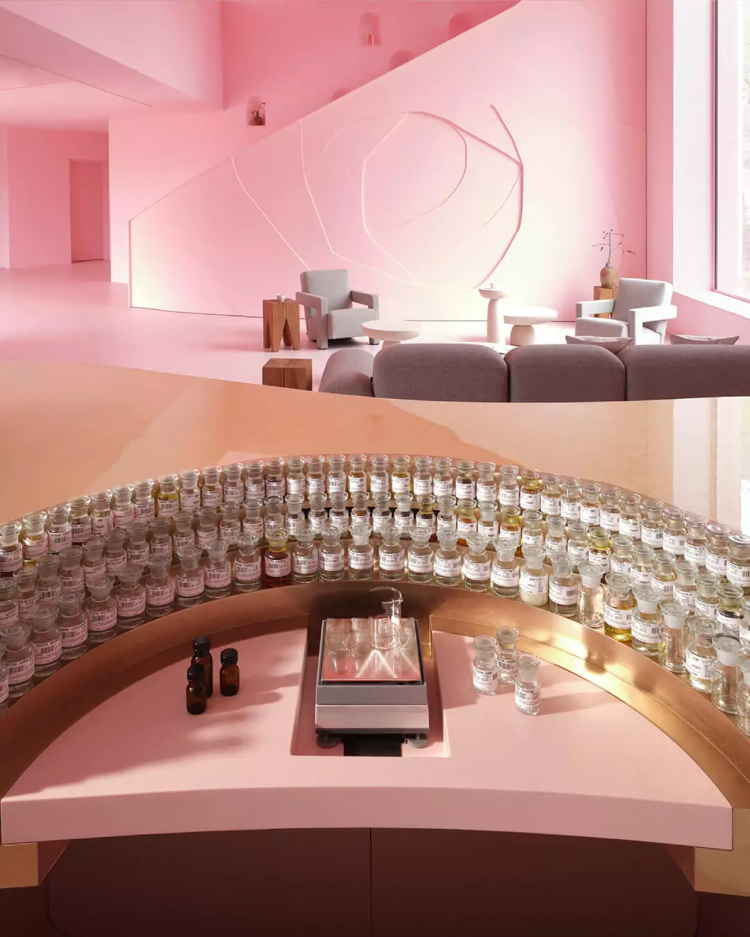 Organ do perfum