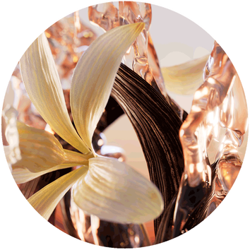 Bliskie ujęcie eleganckiego kwiatowego motywu w przezroczystej, organicznej kompozycji z naturalnym światłem.