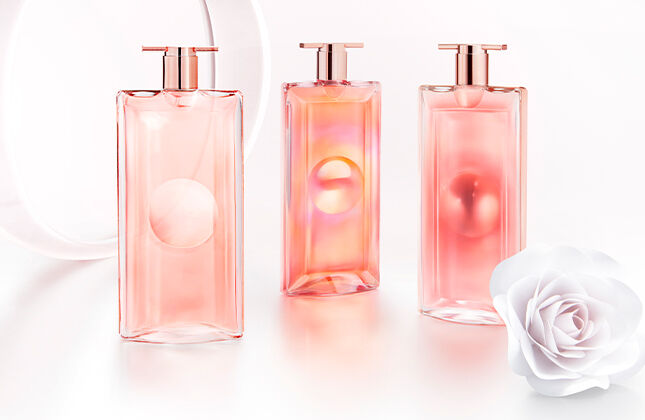 Three elegant perfume bottles in soft pink hues, featuring minimalist designs, sit on a white background alongside a delicate white rose.
