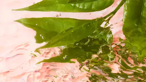 Nowa wizualizacja piękna dla Lancome