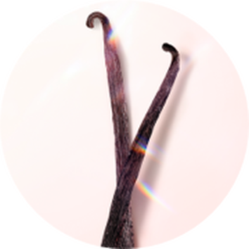 Dwie laski wanilii na jasnym tle, ukazujące ich naturalną strukturę i kolor.