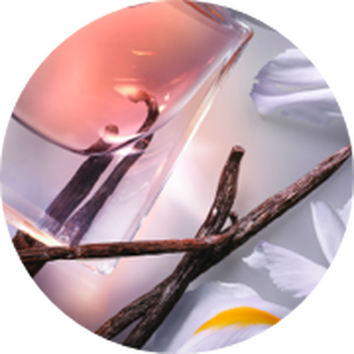 Butelka perfum z waniliowymi laskami i płatkami kwiatow na jasnym tle.