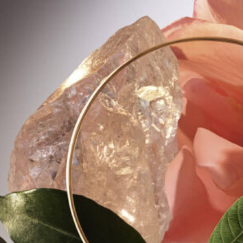 Roża w delikatnych odcieniach rożu otoczona przez przezroczysty kryształ i złoty okrąg.