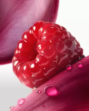 Ilustracja owocowej woni Lancome