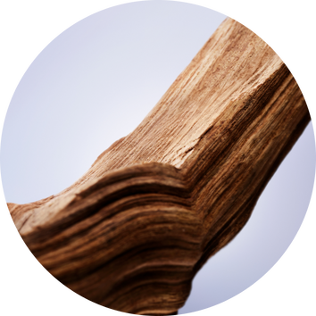 Zbliżenie na fragment naturalnego drewna o wyraźnych słoje i gładkiej fakturze na jasnym tle.