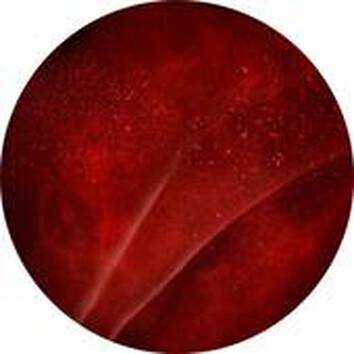 Ciemnoczerwona, teksturowana powierzchnia przypominająca falującą tkaninę lub ciecz, z delikatnym blaskiem.