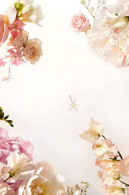 Delikatny bukiet rożowych, białych i kremowych kwiatow w pastelowych odcieniach, tworzący elegancką ramkę na jasnym tle.