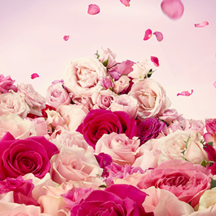 Kwiatowy bukiet roż w odcieniach rożu na jasnym tle, z opadającymi płatkami.